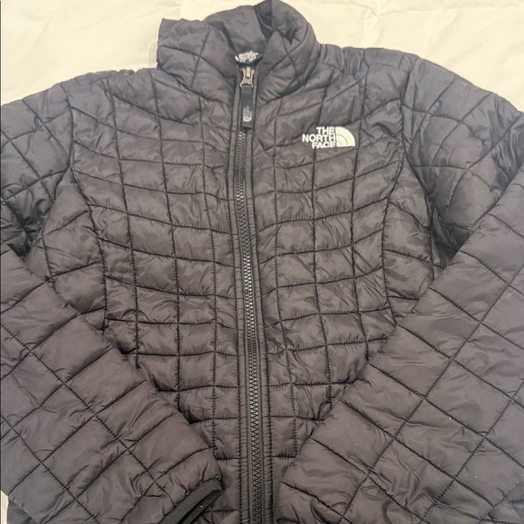 The North Face Black Puffer Jacket